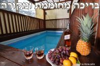 ������ �������� | ����� ���� ���� ����� ������